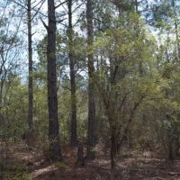 Sugar Creek images 5
