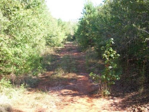 Longview Tract featured image