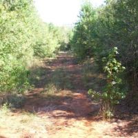 Longview Tract