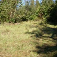 Longview Tract images 3