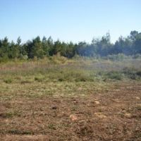 Longview Tract images 4