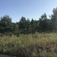 Screven Hunt Camp images 4