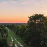 Ohoopee River Hammock images 1