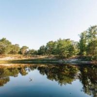 Ohoopee River Hammock images 6