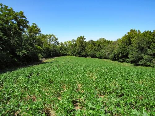 Northeast Kansas Hunting Farm For Sale featured image