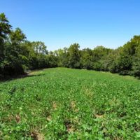 Northeast Kansas Hunting Farm For Sale