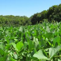 Northeast Kansas Hunting Farm For Sale images 2