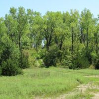 Northeast Kansas Hunting Farm For Sale images 4