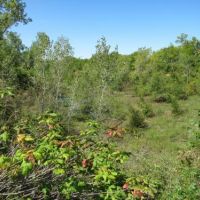 Northeast Kansas Hunting Farm For Sale images 5
