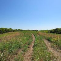 Northeast Kansas Hunting Farm For Sale images 6