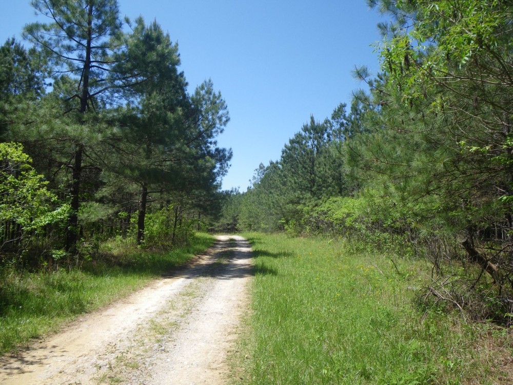 Pemberton Tract featured image