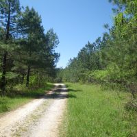 Pemberton Tract