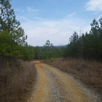 Pemberton Tract images 2