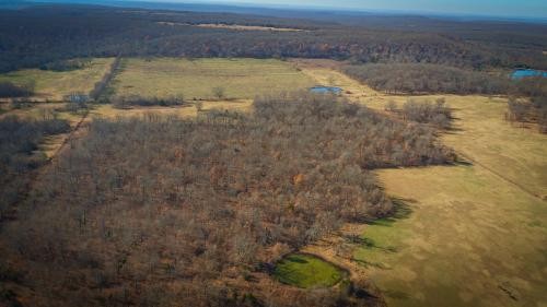 437.95 acres of Hunting Land featured image