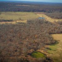 437.95 acres of Hunting Land