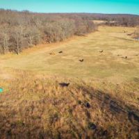 437.95 acres of Hunting Land images 3