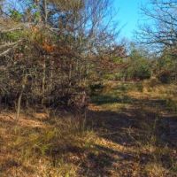 437.95 acres of Hunting Land images 5