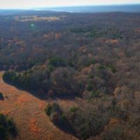 437.95 acres of Hunting Land images 6