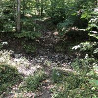 145 acres Hunting Land and Farm Fields in Angelica NY County Rd 2 images 5