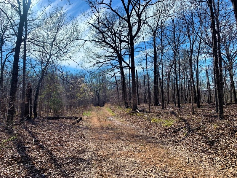 30 &nbsp; - Acres - E. 235 Road Wyandotte  OK 74370 featured image