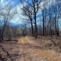 30 &nbsp; - Acres - E. 235 Road Wyandotte  OK 74370