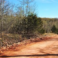 30 &nbsp; - Acres - E. 235 Road Wyandotte  OK 74370 images 2