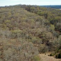 30 &nbsp; - Acres - E. 235 Road Wyandotte  OK 74370 images 3