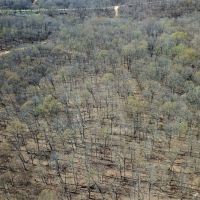 30 &nbsp; - Acres - E. 235 Road Wyandotte  OK 74370 images 5