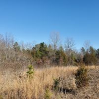 Land for Sale in South Central Missouri images 5
