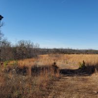 Land for Sale in South Central Missouri images 3