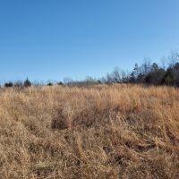 Land for Sale in South Central Missouri images 6