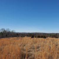 Land for Sale in South Central Missouri images 2