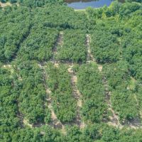 134 &nbsp; - Acres - 56628 W. 291st Street Stroud  OK 74079 images 6