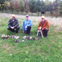 Affordable Daily Bird Hunts in Beautiful Southern Indiana