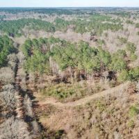 115 Acre Hunting and Timber Land for Sale  Jefferson Co.&nbsp; MS