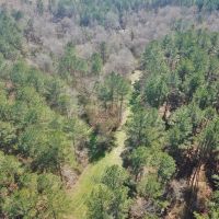 115 Acre Hunting and Timber Land for Sale  Jefferson Co.&nbsp; MS images 6