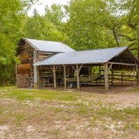 Gorgeous Farmhouse on 10 Acres images 6