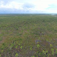 Hunting Tract - NW Lee County