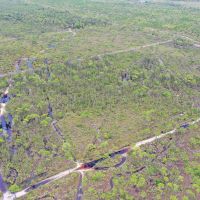 Hunting Tract - NW Lee County images 2