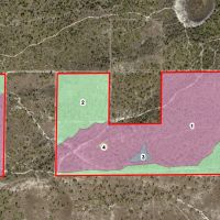 Hunting Tract - NW Lee County images 3