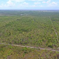 Hunting Tract - NW Lee County images 4