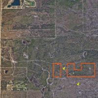 Hunting Tract - NW Lee County images 5