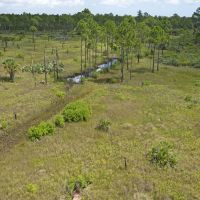 Hunting Tract - NW Lee County images 6