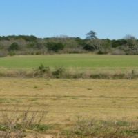 278 Acres in Madison County in Canton  MS