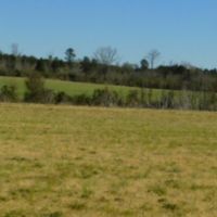 278 Acres in Madison County in Canton  MS images 2