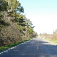 278 Acres in Madison County in Canton  MS images 3