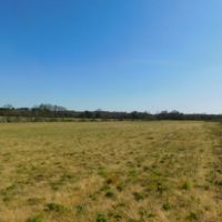 278 Acres in Madison County in Canton  MS images 4