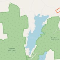58 acres Hunting Camp and Pond near Trout Lake images 4