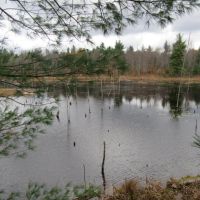 58 acres Hunting Camp and Pond near Trout Lake images 2