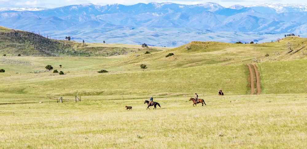 Hangman s Creek Ranch featured image